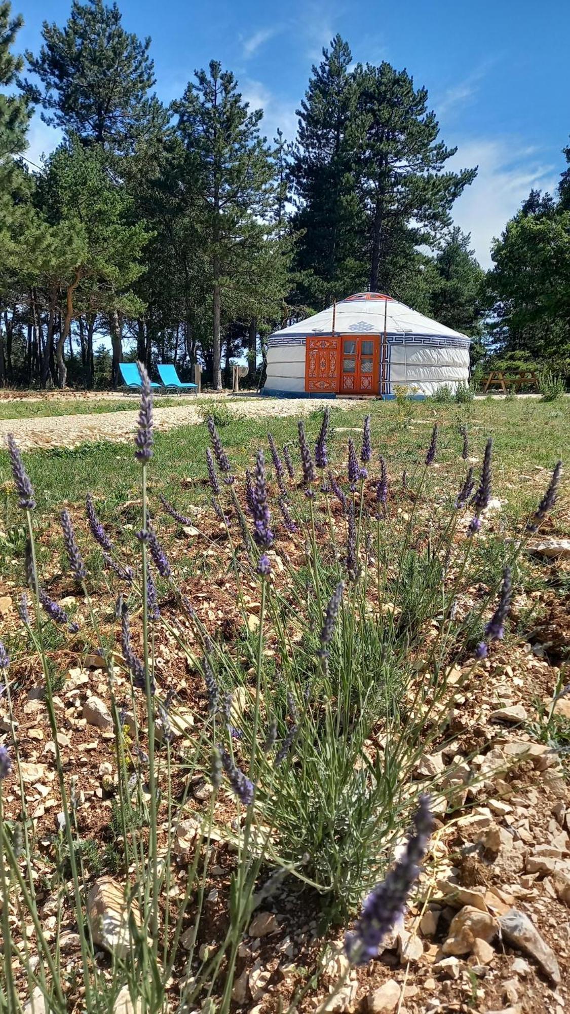 A Ventoux Yourte Monieux Exterior photo