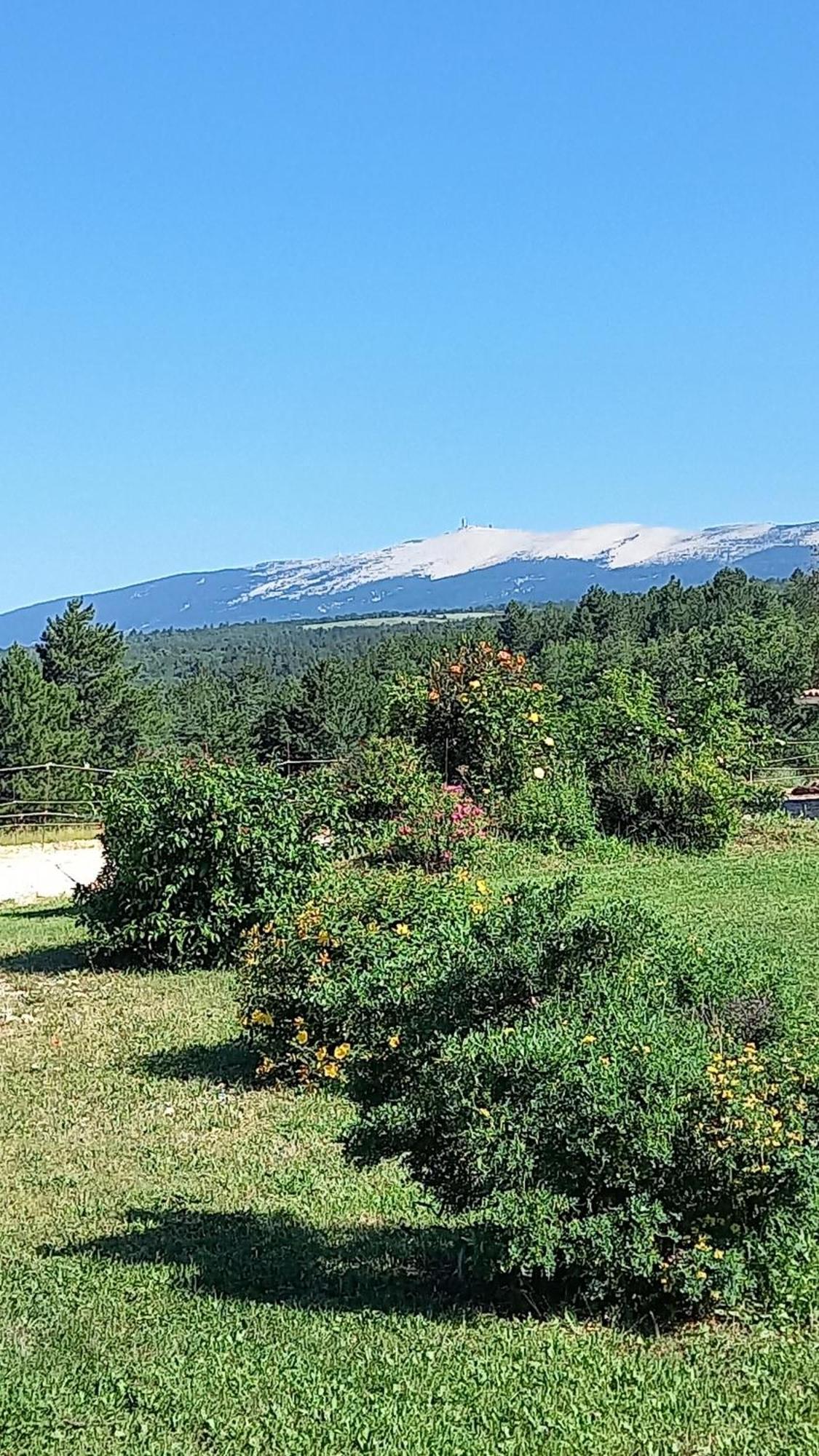 A Ventoux Yourte Monieux Exterior photo